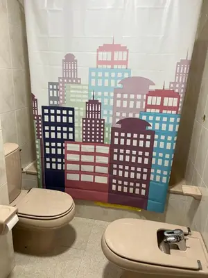 a bathroom with a toilet and a curtain with buildings at Ático Calvo Sotelo 217 in Sarria