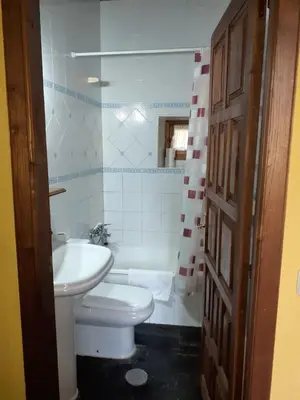 a bathroom with a white toilet and a sink at Casa del OSO2 in Pola de Somiedo