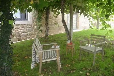 two wooden benches and a table under a tree at Casa do Cereiro in A Estrada