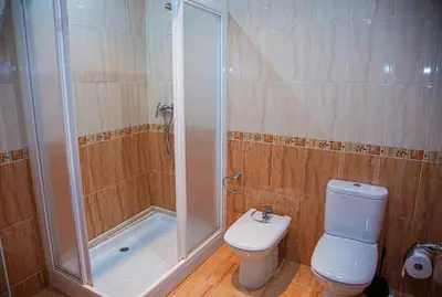 a bathroom with a toilet and a shower at Mirador del Camino in Melide