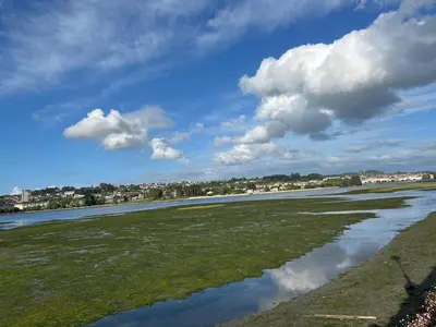 a river with grass and clouds in the sky at Mar y Playa con Jardín in A Coruña
