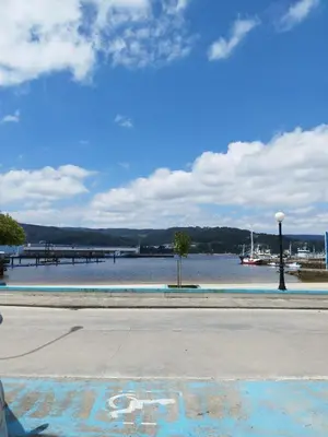 a large body of water with a pier and a tree at Acogedora casa a pie de playa in Cillero