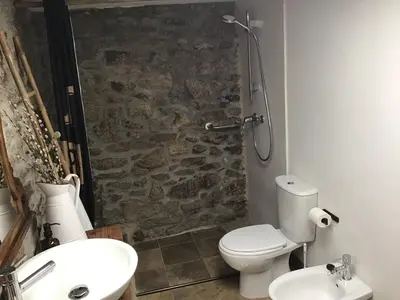 a bathroom with a toilet and a stone wall at Casa rural Catro do Lugarexo in Villarmayor