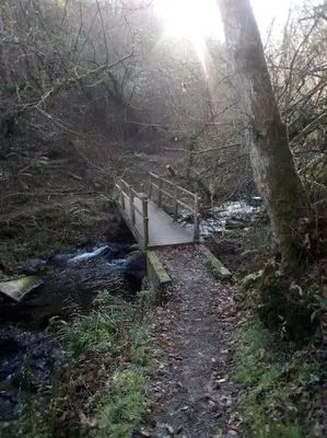 a wooden bridge over a stream in a forest at Apartamento con piscina in Barreiros
