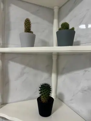 a shelf with three cactuses on it at As Travesas II in Betanzos