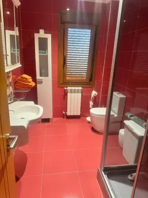 a red bathroom with a toilet and a sink at El rincón de Emilio in Monforte de Lemos