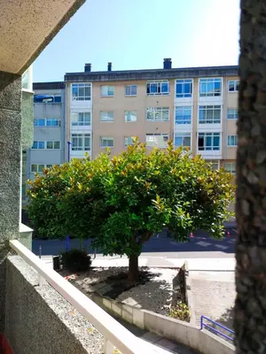 an orange tree in front of a building at Fonteculler in Fonte Culler
