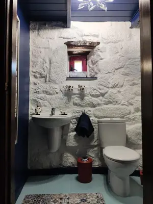 a bathroom with a toilet and a sink at Xiravai-Ribeira Sacra in Peares