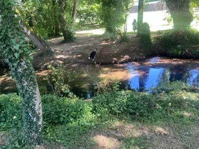 a bird standing next to a pond in a park at Mártires de Carral in Santa María