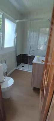a bathroom with a shower and a toilet and a sink at Casa do Outeiro de Aguil in Castro Caldelas