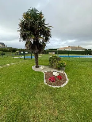 a palm tree and flowers in a park at Apartamento VILLA ANDRES in Villadaíde