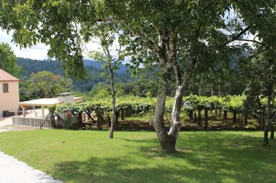 a yard with a bunch of trees and a house at A de Jose Luis in Reis