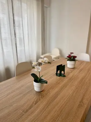 a long wooden table with three potted plants on it at Lucus Urban Centre in Lugo