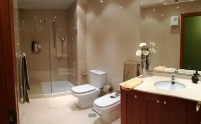 a bathroom with a toilet and a shower and a sink at Piso de tres habitaciones frente al Puerto Deportivo in Viveiro