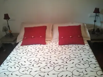 a bed with two red pillows on top of it at Apartamento Tránsito de Entrerruas in Santiago de Compostela