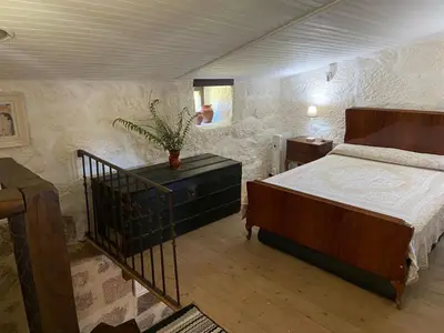 a bedroom with a bed and a plant on a dresser at A Calma in Paradela