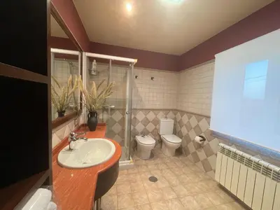 a bathroom with a sink and a toilet at Apartamentos Río Sil in Sober