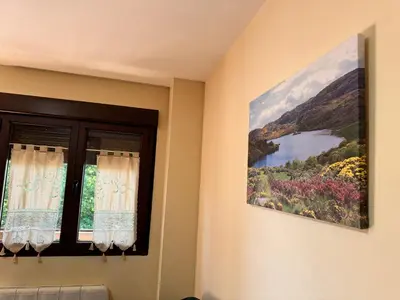 a window in a room with a painting of a lake at Apartamentos Sanabria in Galende