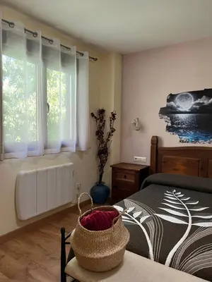 a bedroom with a bed and a window at Apartamentos Sanabria in Galende