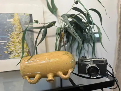 a camera sitting next to a vase and a vase with a plant at Casa do Bidueiro in Luou