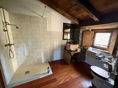 a bathroom with a shower and a toilet at As Casias d'Oscos in Villanueva de Oscos