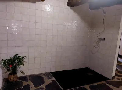 a bathroom with a shower with a plant in it at As Casias d'Oscos in Villanueva de Oscos