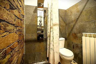 a bathroom with a toilet and a stone wall at As Casias d'Oscos in Villanueva de Oscos