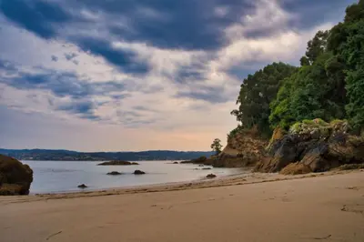 a view of a beach with trees and water at Casita con jardin en Sada in San Andrés de Carnoedo