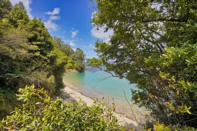 a beach with turquoise water and trees at Casita con jardin en Sada in San Andrés de Carnoedo