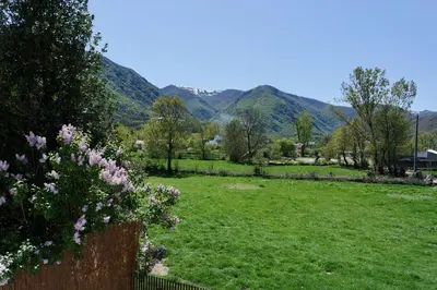 a field of grass with mountains in the background at Cainés in Villablino