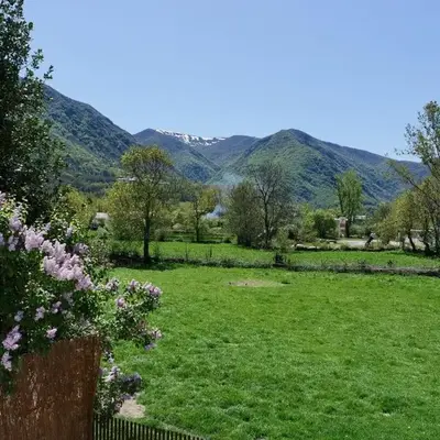Cainés