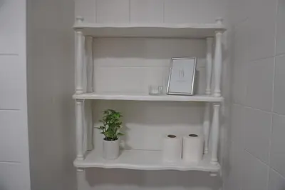 a shelf with three rolls of toilet paper and a plant at O Ferrador in Caldas de Reis