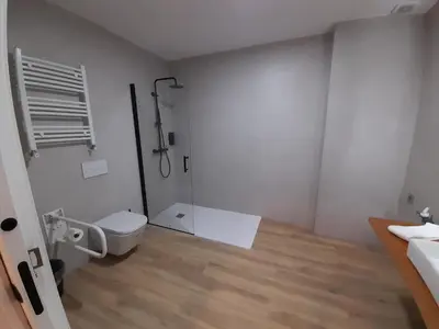a bathroom with a toilet and a shower in it at Apartamentos Recunchos in Ourense