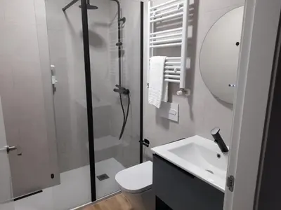 a bathroom with a shower and a toilet and a sink at Apartamentos Recunchos in Ourense