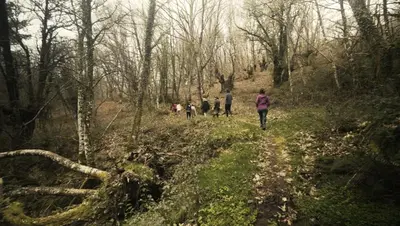 a group of people walking on a trail in the woods at Geodesic Domes with Best Views in Ribeira Sacra in Pincelo