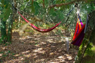 a hammock hanging from a tree in a forest at Hotel Rock Star in Taboadela