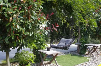 a chair and a table under a tree at Hotel Rock Star in Taboadela