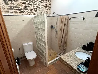 a bathroom with a shower and a toilet and a sink at As Casiñas Bed & Breakfast Porto de Bois in Palas de Rei