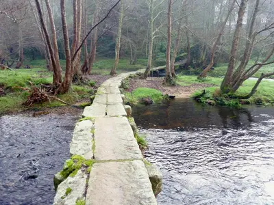a stone path next to a river with trees at As Caldas de Mauro in Caldas de Reis