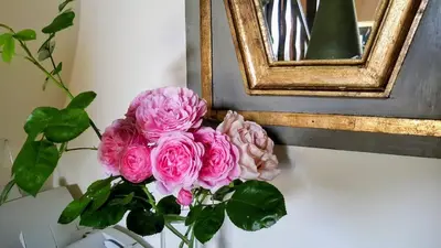 a vase of pink roses in front of a picture at Pazo Casa Solariega de Cervantes in San Román