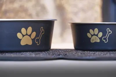 two black bowls with a dog pawprints on them at Casa Velasca in Mesiego