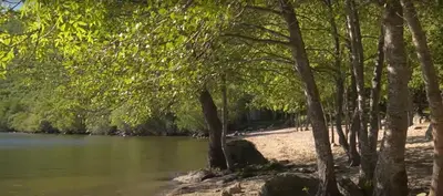 a river with a bunch of trees next to it at La Posada de Pedrazales in Pedrazales