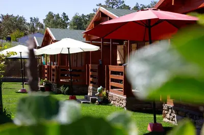 a group of umbrellas and chairs in front of a cabin at Cabañas Madarsu in Vigo de Sanabria