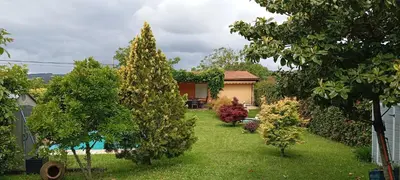 a yard with two trees and a house at La Casona RibeiraSacra in Moreiras
