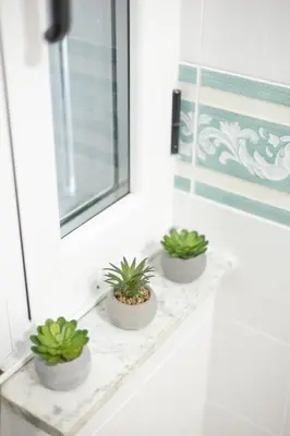 three potted plants sitting on a window sill at Apartamento Ronda Muralla in Lugo