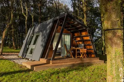 a tiny house in the grass next to a tree at EcoCamp San Román by SuitesNature in Lugo