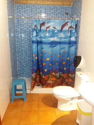 a bathroom with a shower curtain with fish in the ocean at Albergue a Casina di Marcello in Palas de Rei