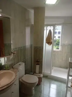 a bathroom with a toilet and a sink and a shower at El Rincón del Cúa in Vega de Espinareda