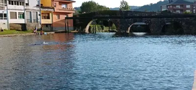 a bridge over a lake with a duck in the water at El Rincón del Cúa in Vega de Espinareda