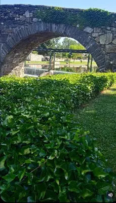 a stone bridge over a field of green plants at El Rincón del Cúa in Vega de Espinareda